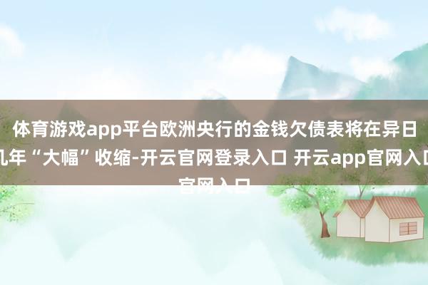 体育游戏app平台欧洲央行的金钱欠债表将在异日几年“大幅”收缩-开云官网登录入口 开云app官网入口